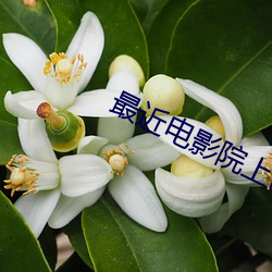 最近电影院(yuàn)上映的电影