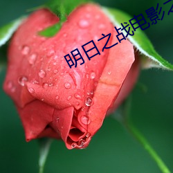 明日之戰電影之完整免費觀