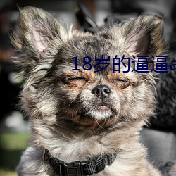 18岁的逼逼app.