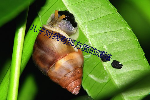 兒子對我有那方面的想法