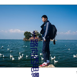 一路向西电影完整版下载地