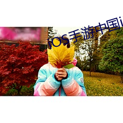 ios手游中国iphone畅销榜