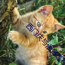 西門慶與潘金蓮在線觀看