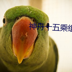 神(shén)舟十五乘组已选定
