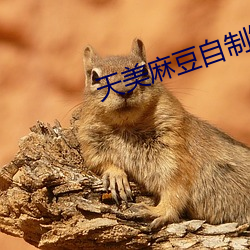 天(tiān)美麻(má)豆自(zì)制短视频