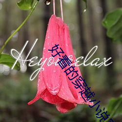 好看的穿越小说完(wán)本