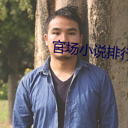 官场小说排行榜