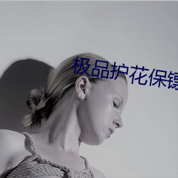 极品护花保(bǎo)镖