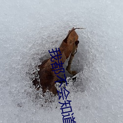 我(wǒ)都不会(huì)知道东京(jīng)热和加勒比的(de)女主角素质(zhì)最好