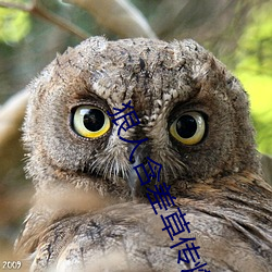 狠人含差草傳煤在線觀看