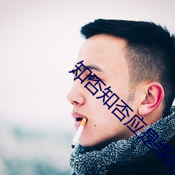 知(zhī)否知否应是绿肥红(hóng)瘦电视