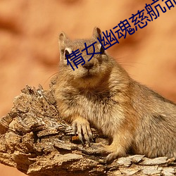 倩女幽魂慈航命案攻略
