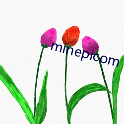 minepicom