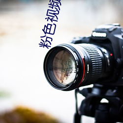 粉色视频app免费下载无病毒