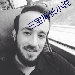 三寶局長小說