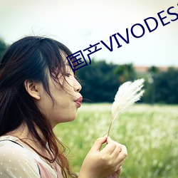 国产vivodeshd精品
