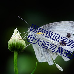 國內極品宅男女神gogo人體藝術利世大膽寫真圖片