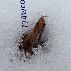 774tvcow永久(jiǔ)