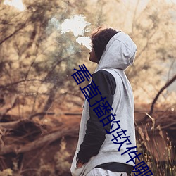 看直播的软件哪个好