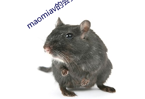 maomiav的会(會)员账号
