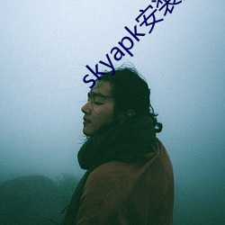 skyapk安裝黃
