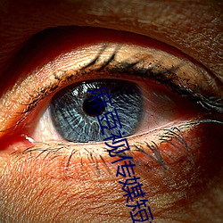 麻豆视(shì)传媒(méi)短视频官方网站在线观看