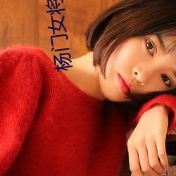 杨门女将群芳承欢录完本
