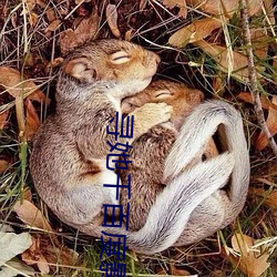 寻(尋)她(她)千百(百)度影院