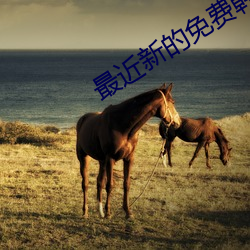 最(最)近新的免费韩国电(電)影