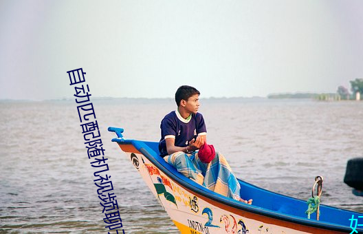 自動匹配隨機視頻聊天
