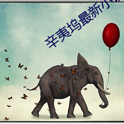 辛夷坞最新小说