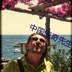 中國驚奇先生未刪減動畫