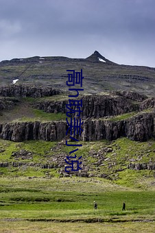 高(gāo)h耽美小说