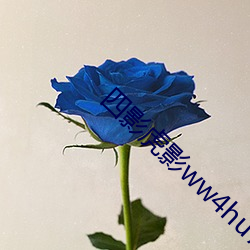 四影(yǐng)虎影ww4hu702