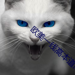 歐美一線高本道高清在線
