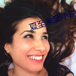 夏至未至小(xiǎo)说