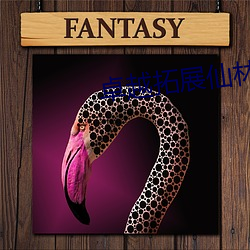 卓越拓展仙林蹤v1.0.107