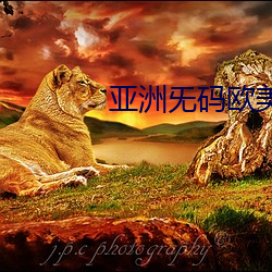 亚洲旡码欧美大片