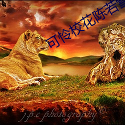 可怜校花陈(chén)若雪第1章免费(fèi)阅读