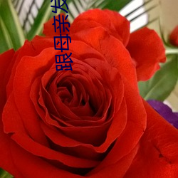 跟母亲发生了不该发生的事