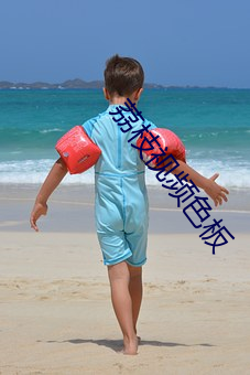 荔枝视频色板