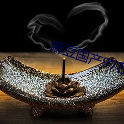 麻豆(豆)国(國)产97在(在)线