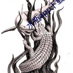 水瓶app下载