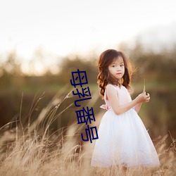 母乳番号
