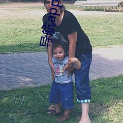 导航app福航拼多多