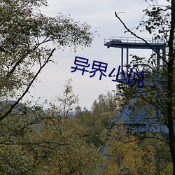 异(異)界(界)小说