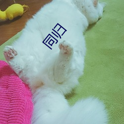 同歸