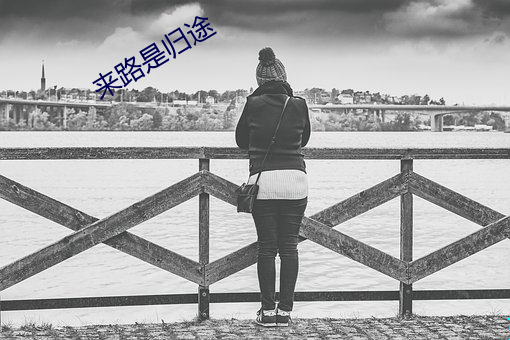 來路是歸途