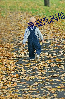 家(jiā)庭乱码伦(lún)区中文(wén)字幕在线