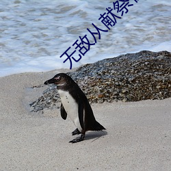無敵從獻祭祖師爺開始